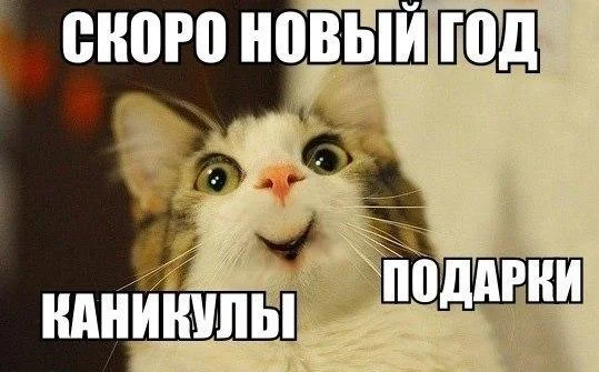 скоро новый.webp
