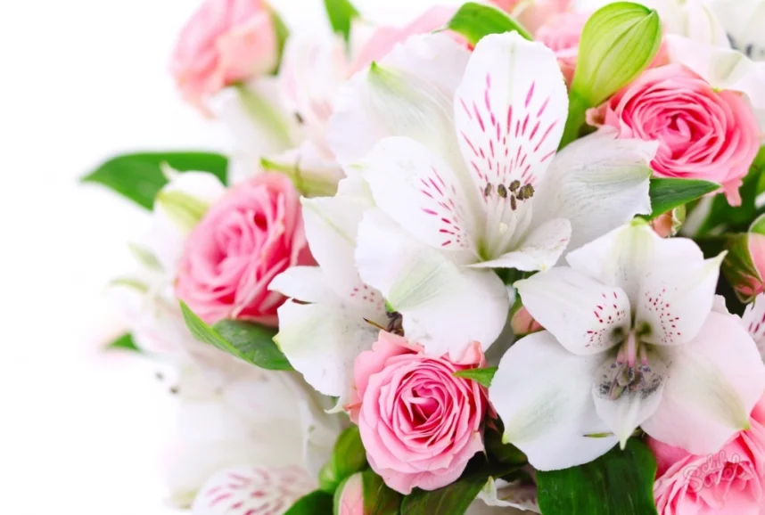 Скриншот 01-01-2019 113058.webp