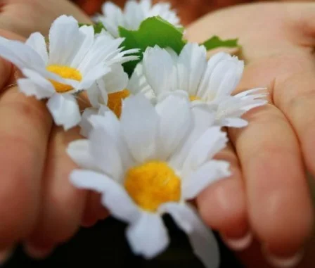 Скриншот 01-07-2018 175519.webp