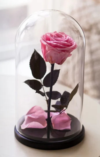 Скриншот 01-10-2018 212151.webp