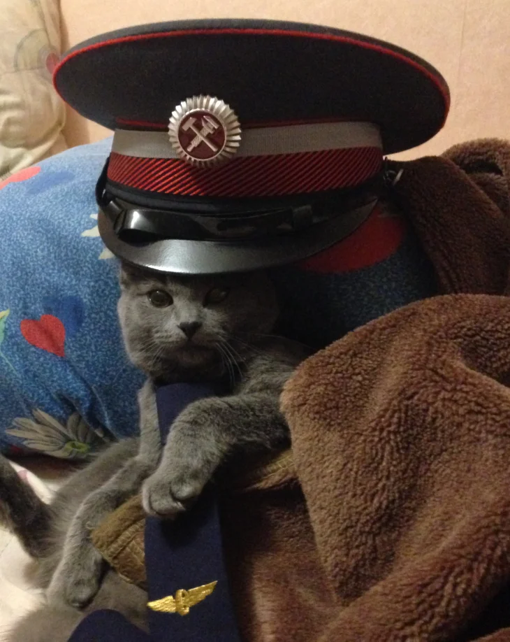 Скриншот 03-09-2018 113049.webp