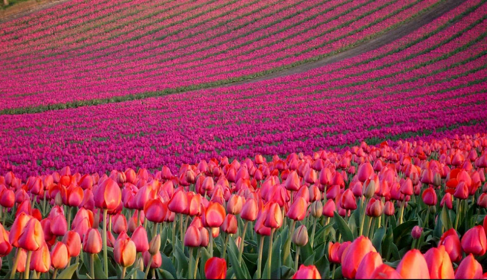 Скриншот 03-09-2018 213656.webp