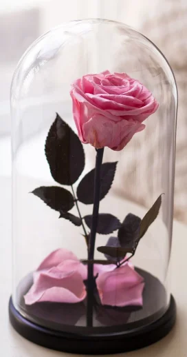 Скриншот 03-10-2018 234111.webp