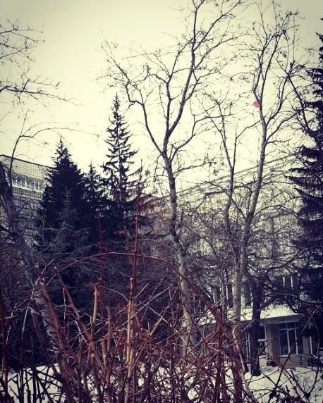 Скриншот 04-09-2018 210521.webp