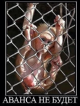 Скриншот 04-09-2018 224923.webp