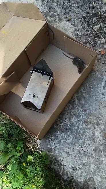 Скриншот 05-08-2020 120558.webp