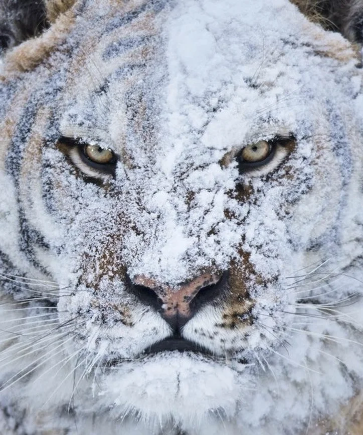 Скриншот 05-10-2018 130743.webp