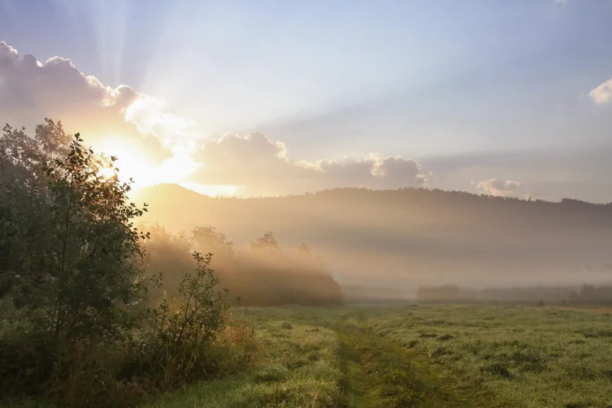 Скриншот 06-07-2018 095425.webp