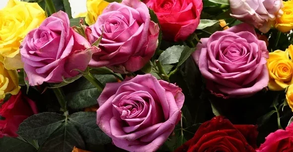 Скриншот 06-09-2018 082520.webp