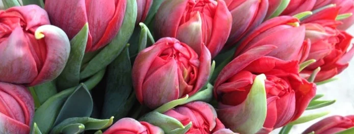 Скриншот 06-09-2018 082728.webp