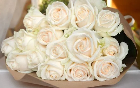 Скриншот 06-09-2018 083156.webp