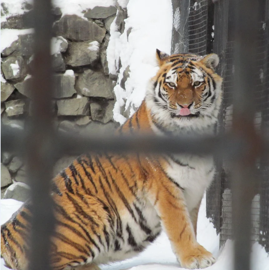 Скриншот 06-09-2018 141058.webp