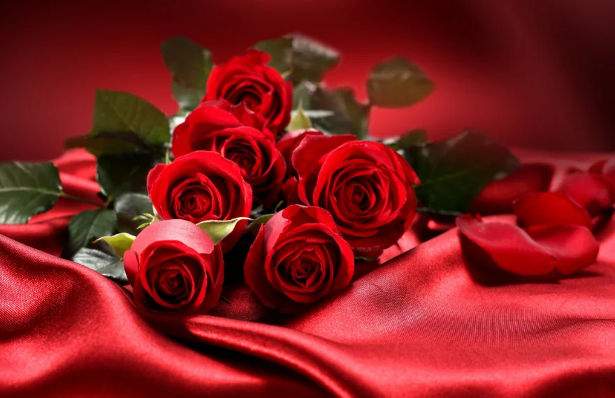 Скриншот 06-10-2018 211440.webp