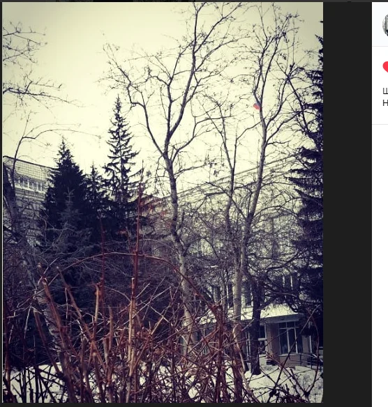 Скриншот 07-08-2018 002502.webp