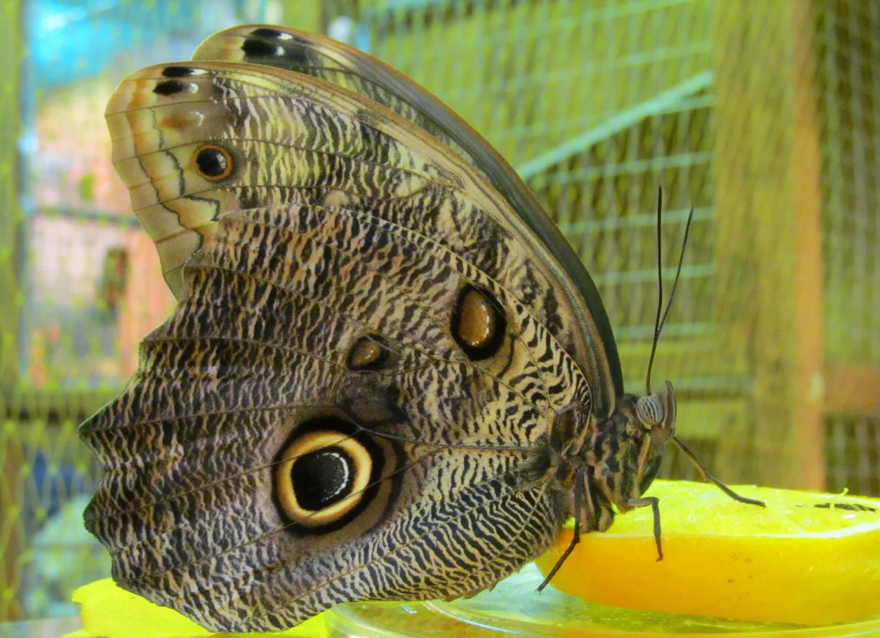 Скриншот 08-09-2018 152910.webp