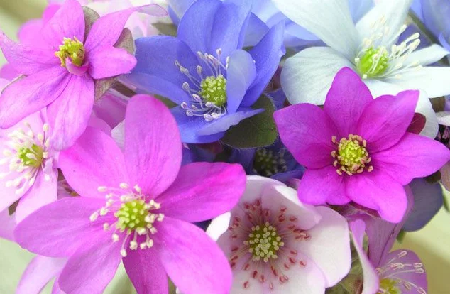 Скриншот 08-10-2018 000749.webp