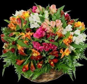 Скриншот 09-10-2018 214915.webp