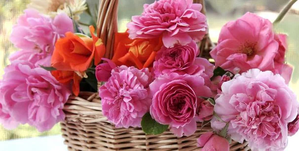 Скриншот 09-10-2018 214922.webp