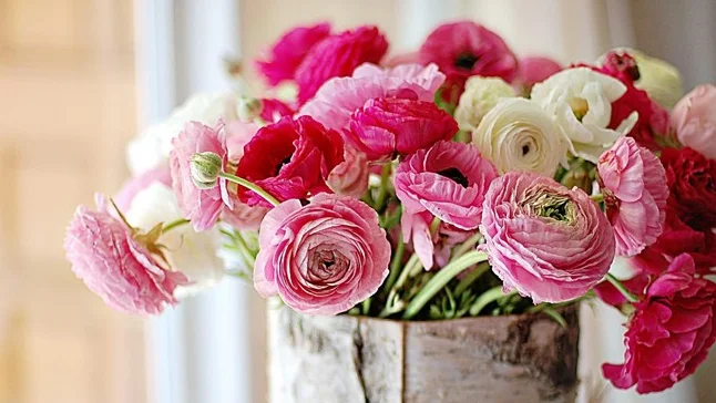 Скриншот 09-10-2018 214935.webp