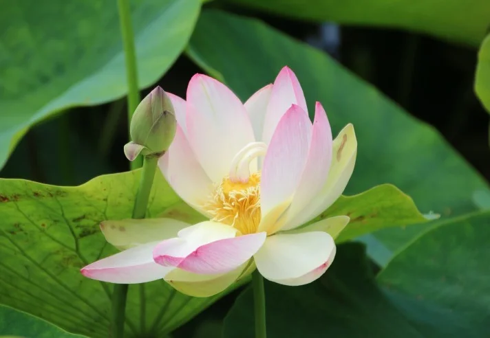 Скриншот 10-09-2018 135837.webp