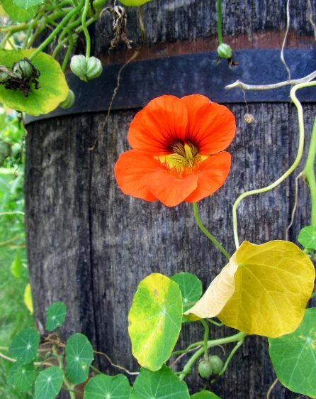 Скриншот 10-10-2018 010113.webp