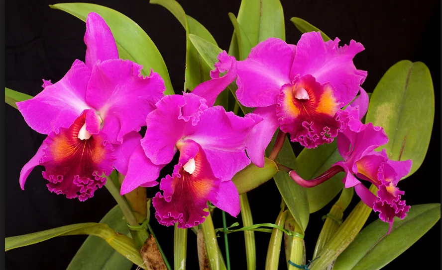 Скриншот 10-10-2018 123718.webp