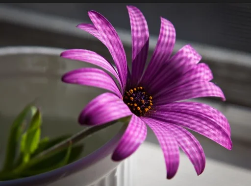 Скриншот 10-10-2018 211022.webp