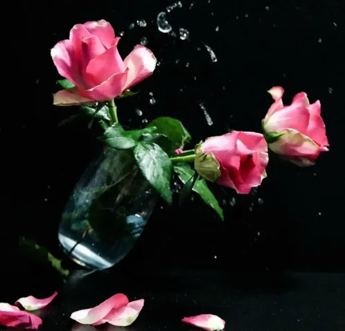 Скриншот 10-10-2018 211042.webp