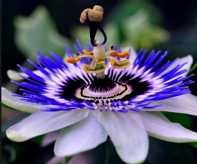 Скриншот 10-10-2018 213940.webp