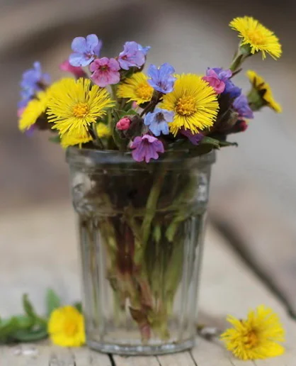 Скриншот 11-10-2018 055038.webp