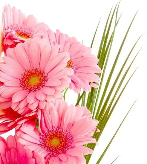 Скриншот 13-07-2018 171544.webp