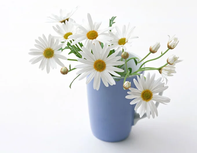 Скриншот 14-10-2018 054008.webp