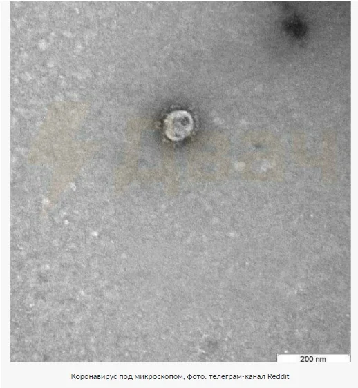 Скриншот 20-03-2020 000532.webp