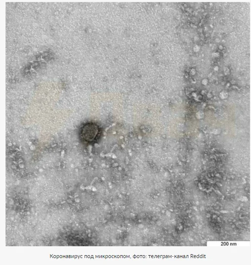 Скриншот 20-03-2020 000546.webp