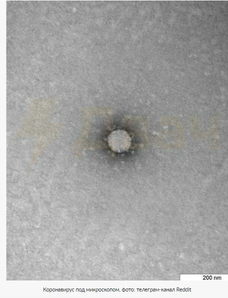 Скриншот 20-03-2020 000601.webp