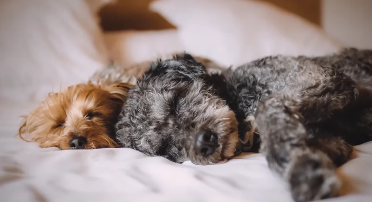 Скриншот 20-09-2018 152941.webp