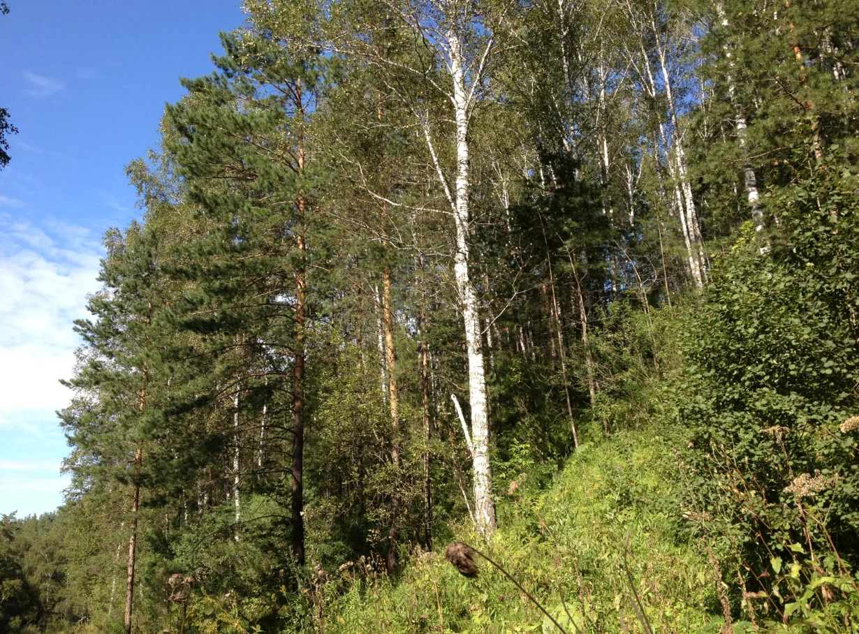 Скриншот 22-06-2018 114543.webp