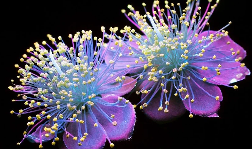 Скриншот 23-09-2018 154424.webp