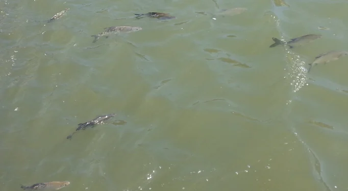 Скриншот 23-09-2018 212609.webp