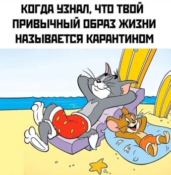 Скриншот 24-03-2020 115353.webp