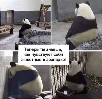 Скриншот 25-03-2020 222332.webp