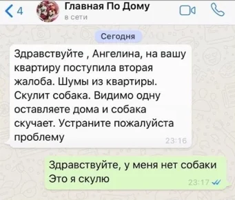 Скриншот 26-02-2020 125847.webp