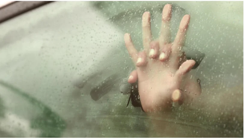 Скриншот 26-08-2018 214307.webp