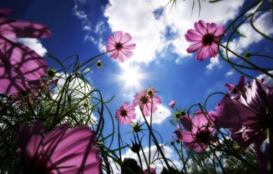 Скриншот 26-09-2018 010602.webp