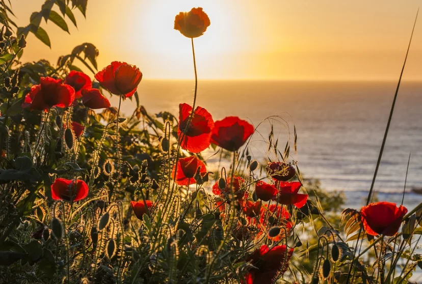 Скриншот 26-09-2018 010821.webp