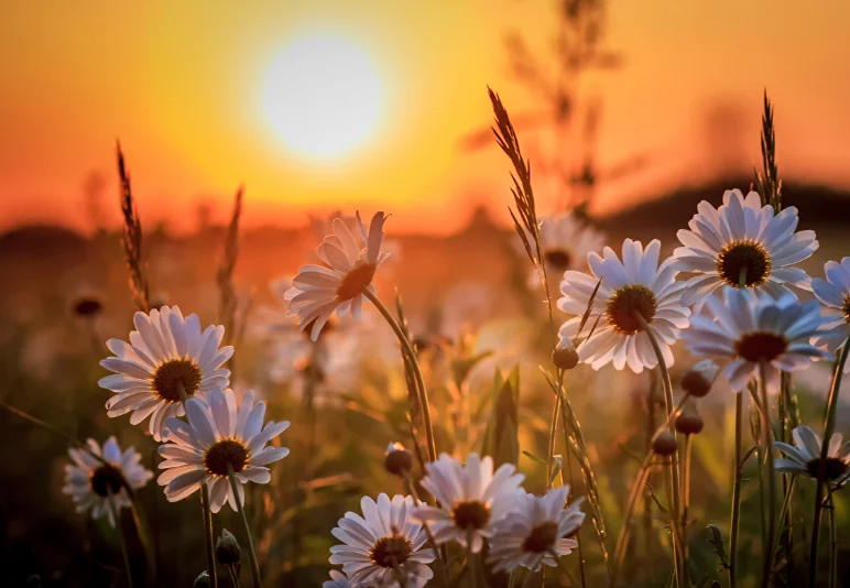 Скриншот 26-09-2018 010831.webp