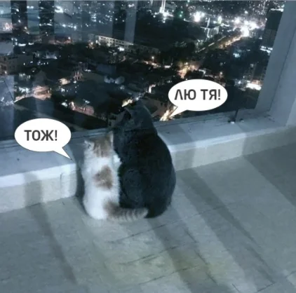 Скриншот 27-11-2021 200351.jpg