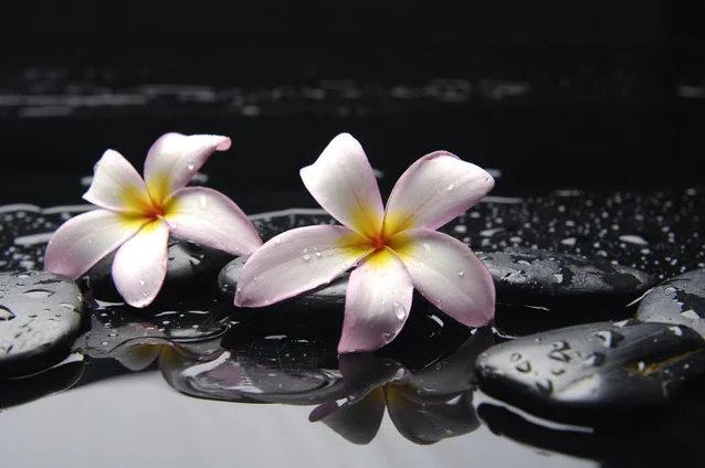 Скриншот 27-12-2018 113949.webp