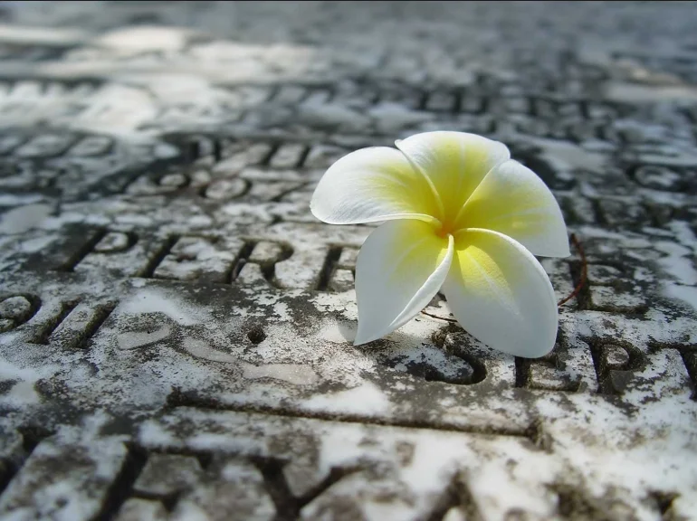 Скриншот 27-12-2018 114058.webp