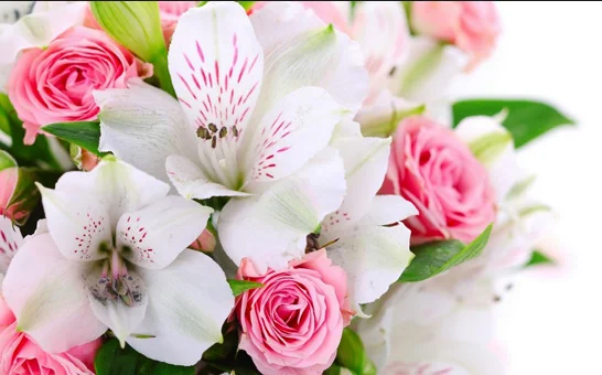 Скриншот 28-09-2018 093131.webp